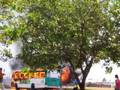 onibus