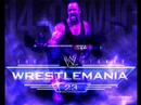 The Undertaker The Undertaker