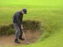 Shandy in a Bunker