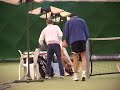 5 GP Leszna Seniorów