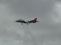 Harrier at Yeovilton 2008
