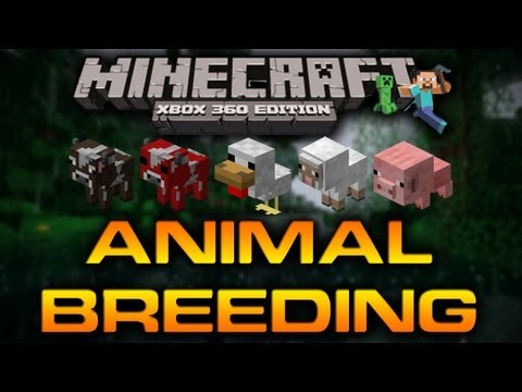 minecraft xbox update minecraft xbox update