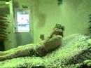 Man vs Car Wash Man vs Car Wash