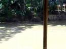 lobok bohol lunchtime