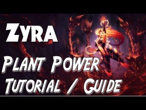 how to build zyra