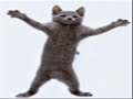 garfield-dancing-kagat-labi-of-eat-bulaga.html