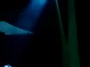 GO GO DANCER SARAH NA NUD LOUNGE & CLUB