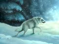 gary jules - mad world fanart.flv gary jules - mad world fanart.flv