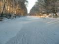 videos de Schaatsen op het Deurnes Kanaal Januari 2009