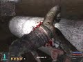 S.T.A.L.K.E.R.: Shadow of Chernobyl - funny bug S.T.A.L.K.E.R.: Shadow of Chernobyl - funny bug