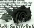 Yemin Dizi Muzigi   Eylem Aktas   S�yleyemedim