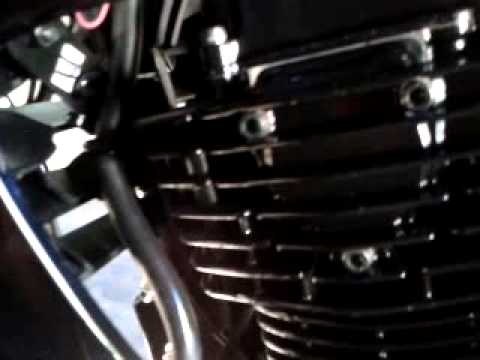how to take care of fz16