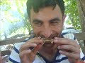 cennetpinar k�y� (mole-usson)
