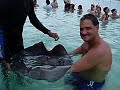 Bahamas Pearl Island Stingray Swim and Snorkel Bahamas Pearl Island Stingray Swim and Snorkel