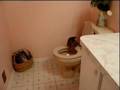 Lorsque deux chats jouent avec une chasse d'eau sur un air de 'Mission impossible ;-)