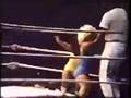 Midget-Women-s-Wrest