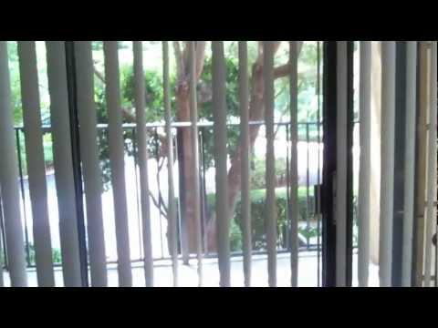 Reserve at Ashley Lake Apartments - 1 Bedroom - Orchid Floorplan
