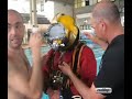 ots - cedifop - esercitazioni: hot suite