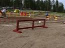Tibetan terrier agility Tibetan terrier agility
