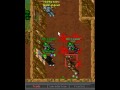 Silvera Summon War. Tibia