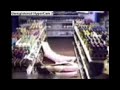 Very stupid robber