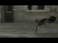 Bolt - Trailer italiano