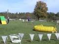 videos de Isis BCSA Nationals Agility 2008