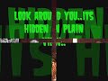 Illuminati Symbolism - Paint It Black