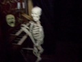 Halloween 2008