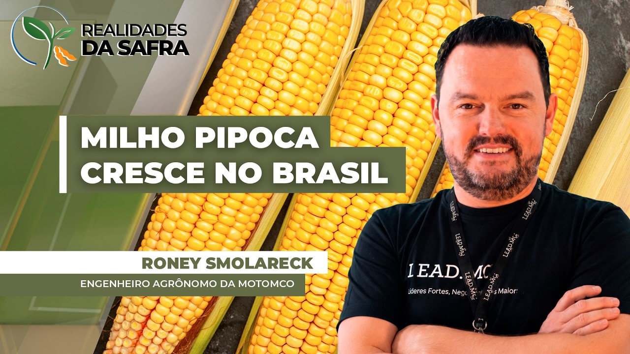 Brasil é o 2º maior produtor, exportador e consumidor de milho pipoca