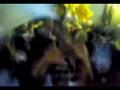 videos de programa juventude fura olho