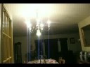 Life and Death of a Locust