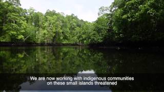 Save Small Island 2015