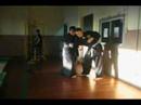 aiki-kung-jutsu