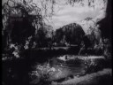 Tute Dil Na... (Amber) - free flv video @ vwatch.tv
