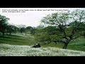 that had already once been iven in detail and tell the huss.mov