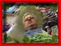 Woy Kalbshirn.wmv