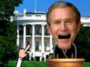 Headzup: Bush On Blackwater\ Headzup: Bush On Blackwater\