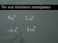 Introducci�n al Algebra - T�rminos Semejantes