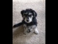 Cutie Video 06