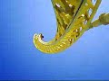 Wicked Twister On Ride POV Roller Coaster at Cedar Point