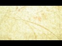 garrod1_00001_0005.mov garrod1_00001_0005.mov
