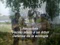 Necochea. Un vecino se ató a un árbol para defenderlo.wmv