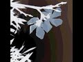 dry flower