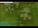 Payson55 cutting yews