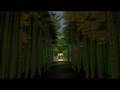 videos de Farewell to Gion