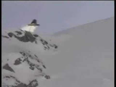 WESTBEACH - Jon Cartwright in "Gong ...