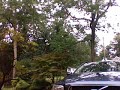 Thunderstorm
