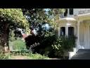 My Neighborhood Walk