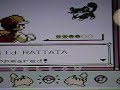Going into the accursed grass Pokemon Yellow